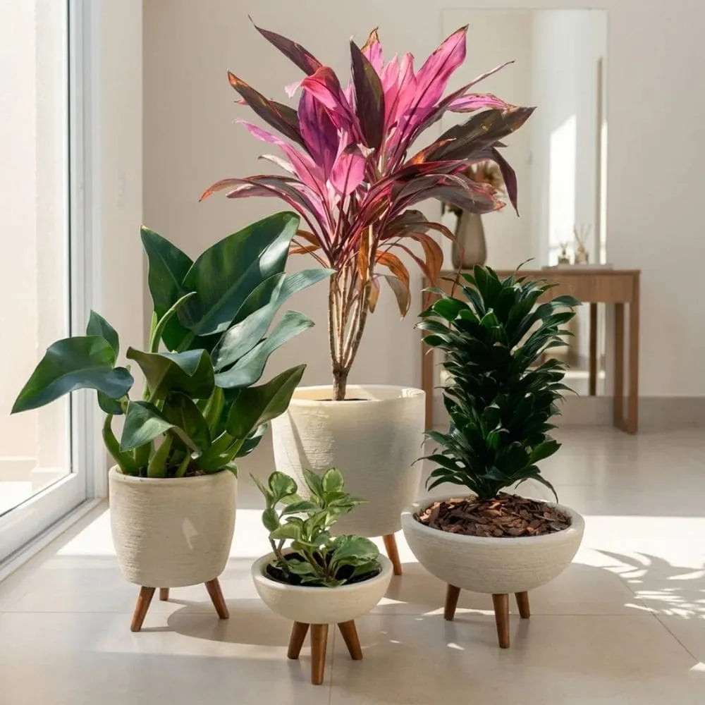 Kit 4 Vasos com Tripé de Madeira