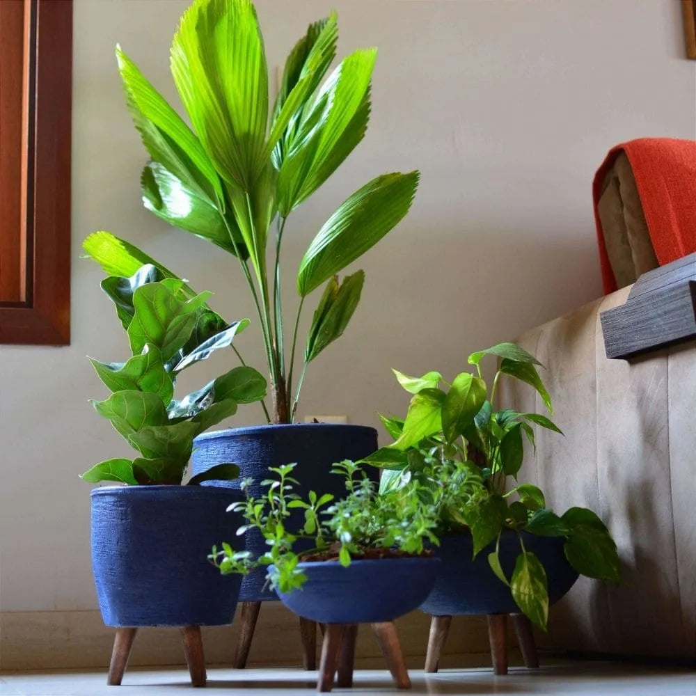 Kit 4 Vasos com Tripé de Madeira