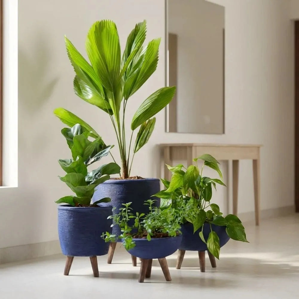 Kit 4 Vasos com Tripé de Madeira