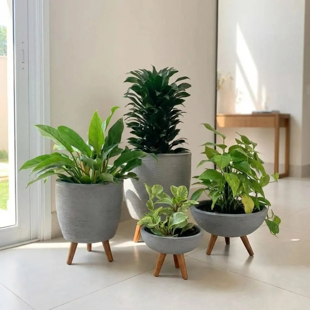 Kit 4 Vasos com Tripé de Madeira