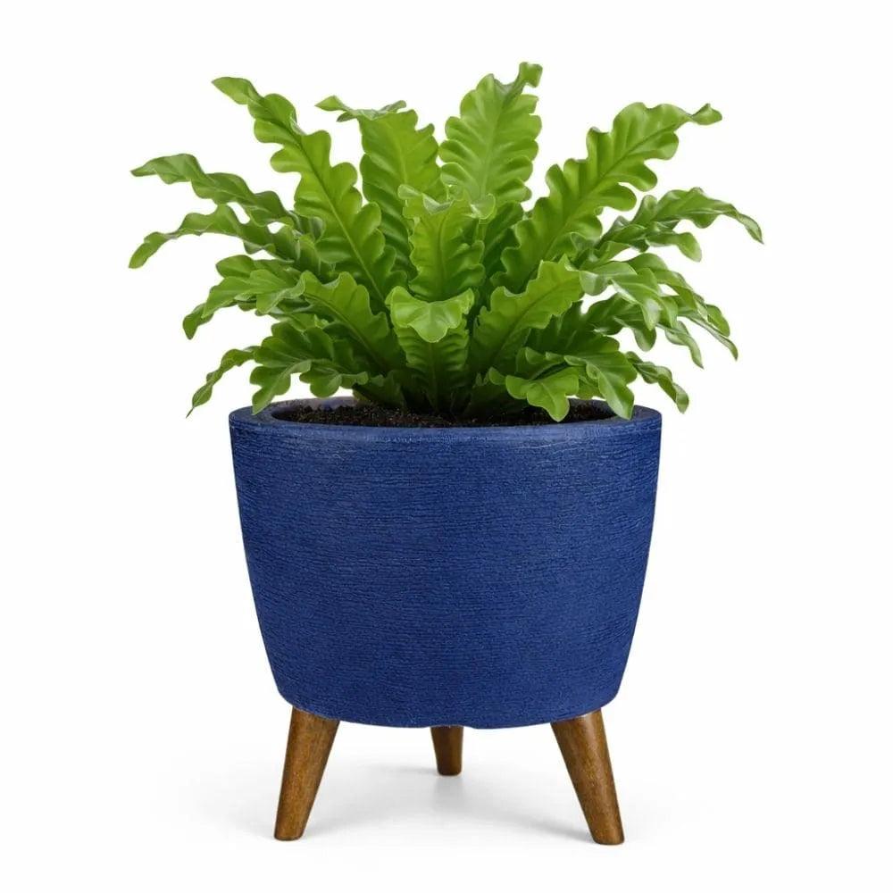 Vaso Linha Berlim com Tripé