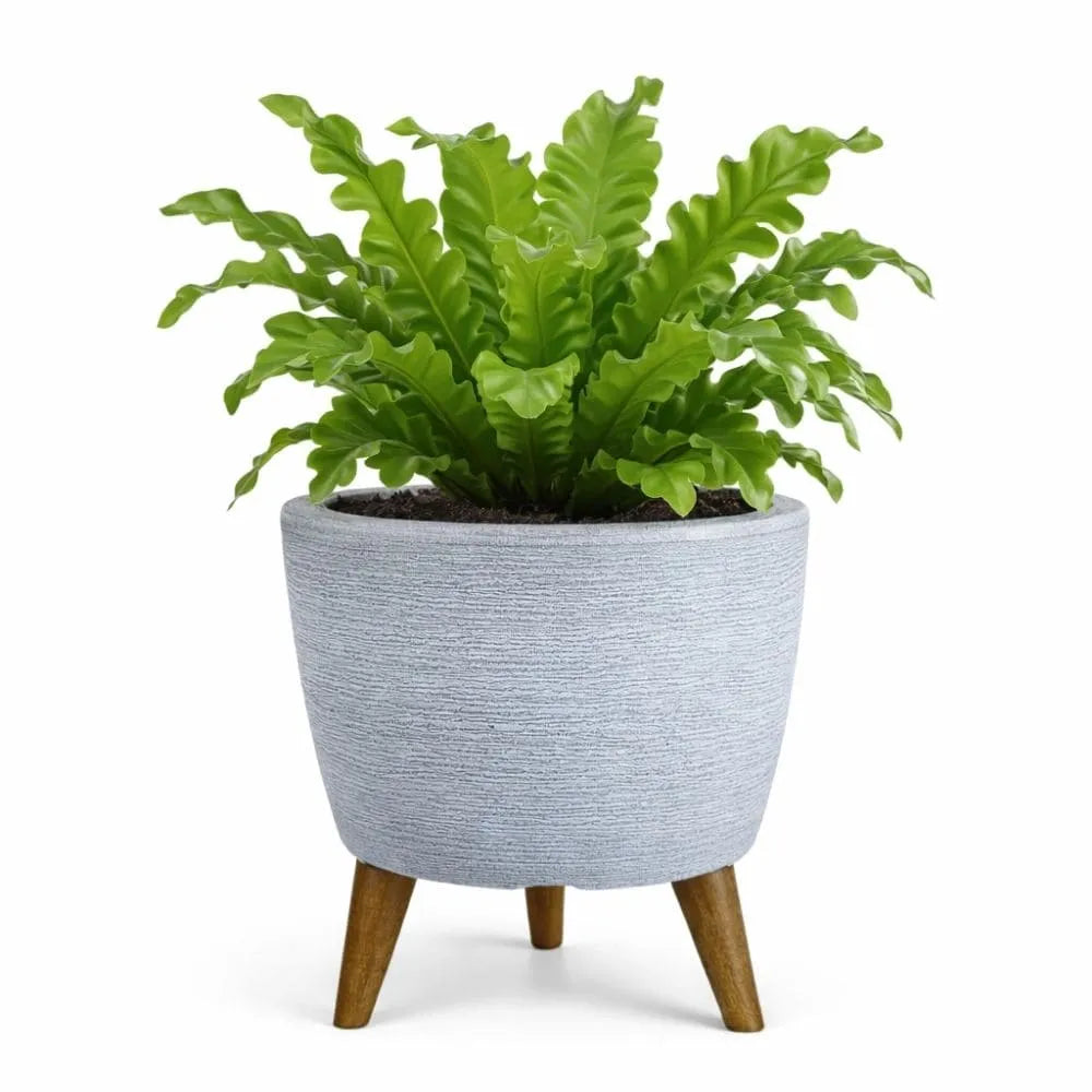 Vaso Linha Berlim com Tripé