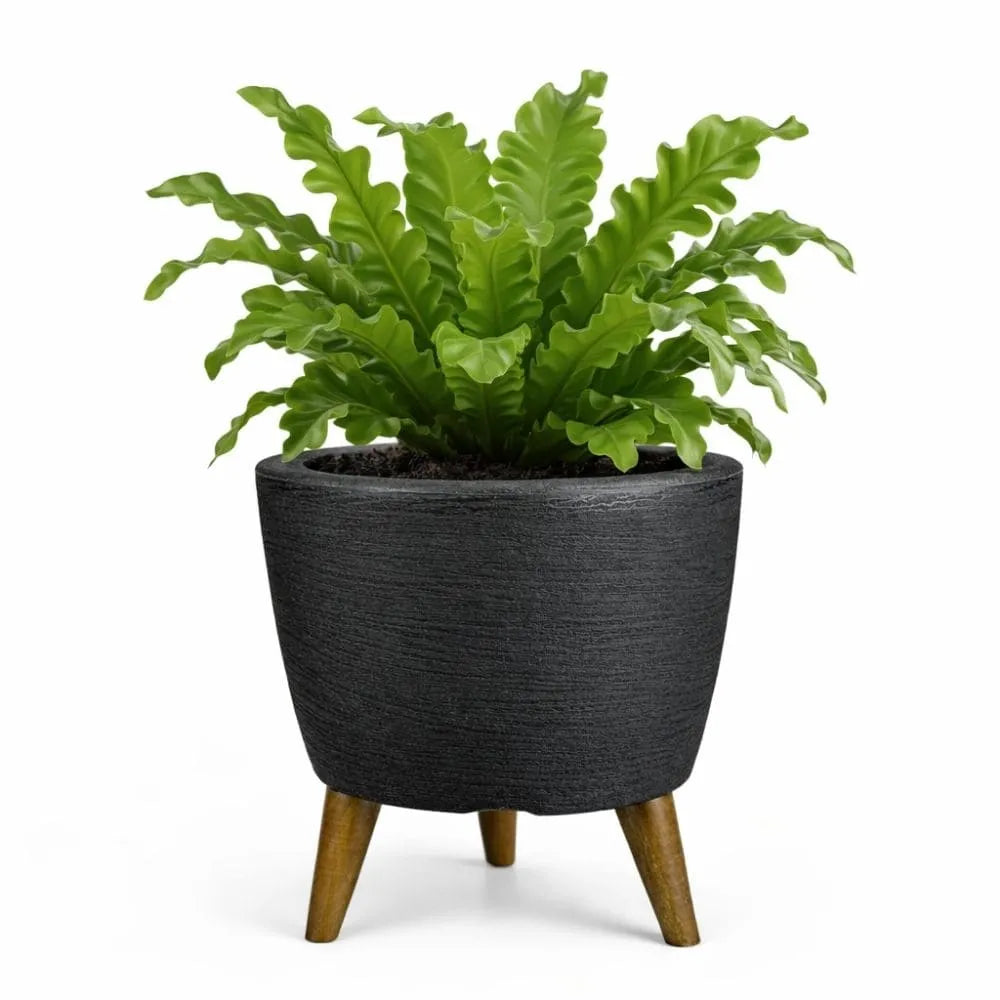 Vaso Linha Berlim com Tripé