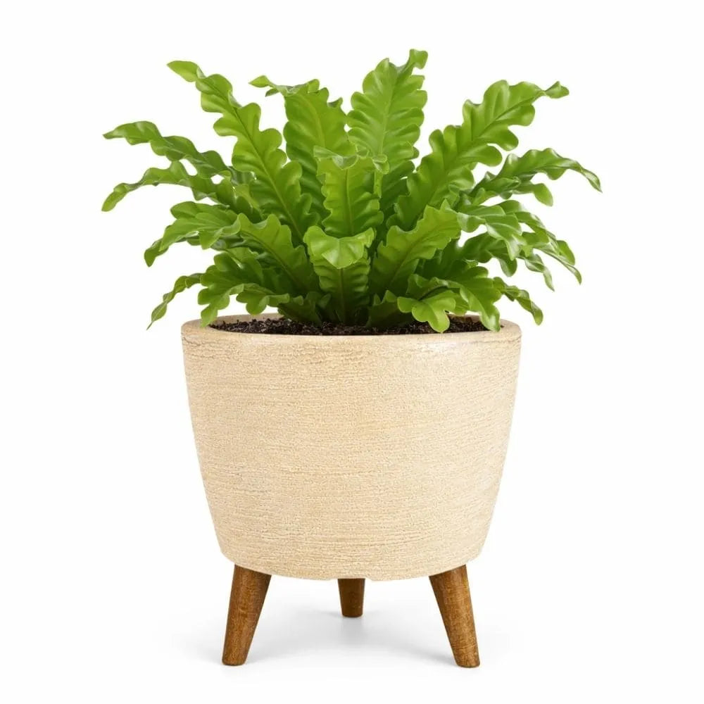 Vaso Linha Berlim com Tripé