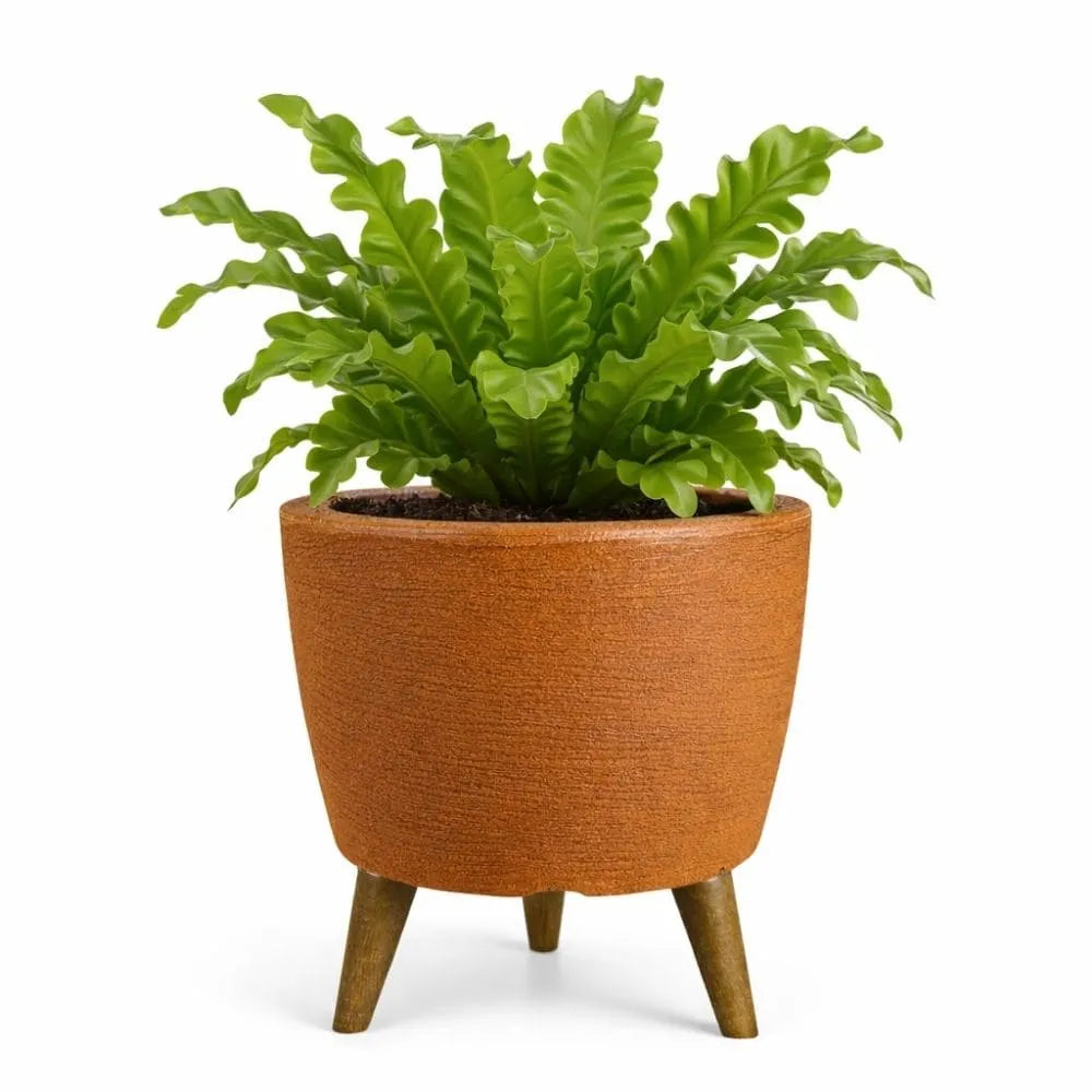 Vaso Linha Berlim com Tripé