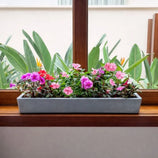 Jardineira Havana em Polietileno 80x15cm