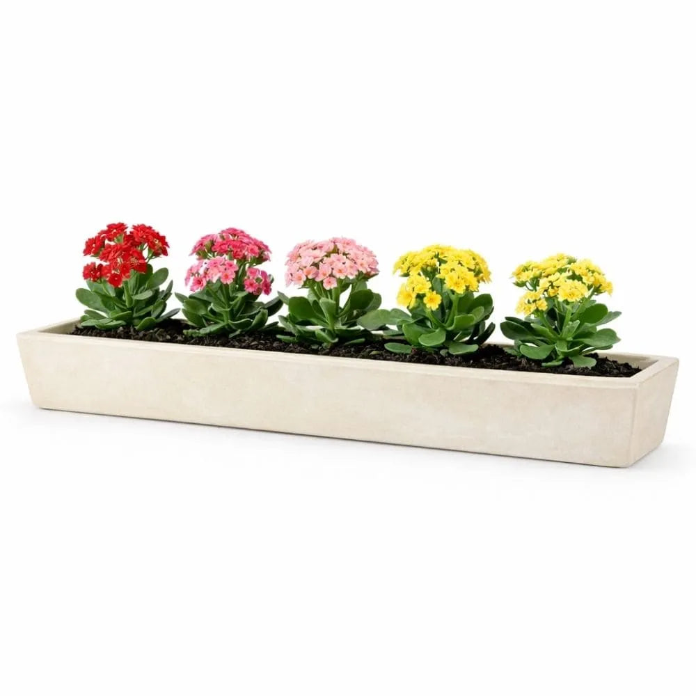 Jardineira Havana em Polietileno 80x15cm