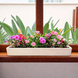 Jardineira Havana em Polietileno 80x15cm