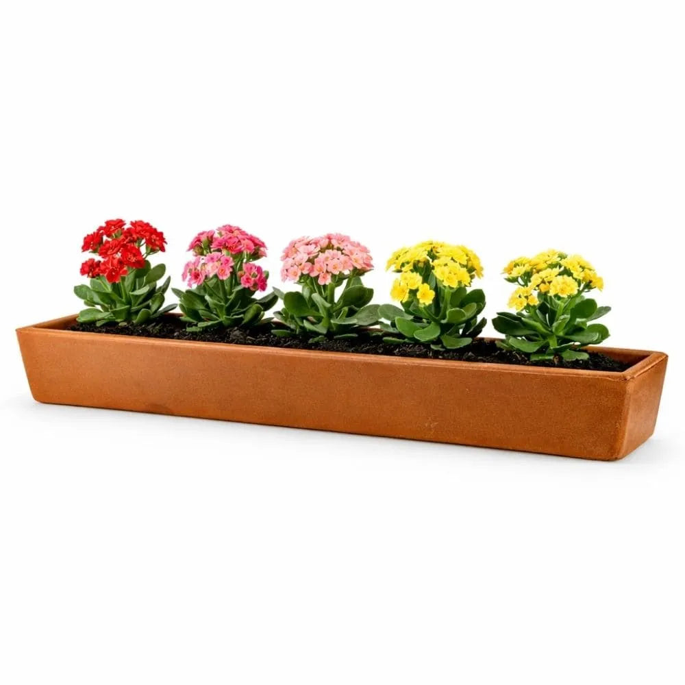 Jardineira Havana em Polietileno 80x15cm